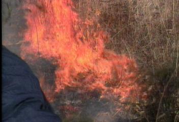 전국 건조주의보 산불 10여건 발생백지연