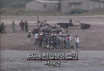 충남 서해 앞바다또 식인상어 출현해녀 김순심씨 사망정운기