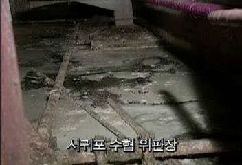 서귀포 수협위판장 폐수 방류현장 고발한석도