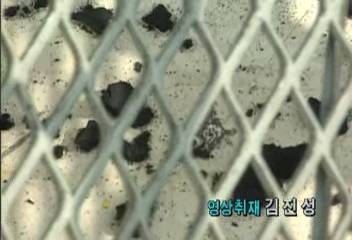 인천시 삼산동 주민들 주변 공장 검은 가루에 뒤덮혀 불편이효동