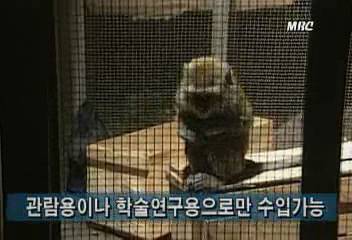 서울 방배동 주택가에 원숭이 소동유상하