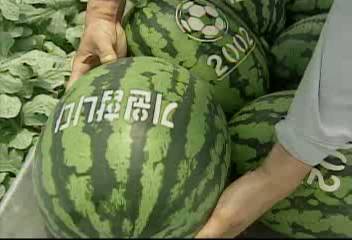 경남 의령 월드컵 16강 기원 수박고일욱