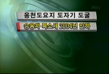 승용차 특소세 2004년 인하정혜정