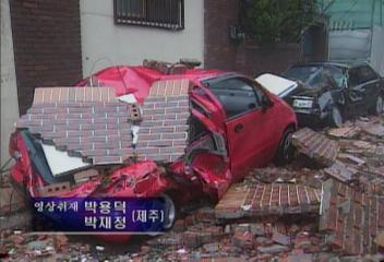 제주 강풍 폭우 가로수 뽑히고 간판 날아가 폭격 맞은 듯김성호