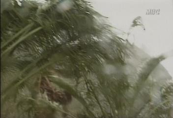 전남 여수 고흥 태풍 루사 피해 상황여수 소라면 침수 등박광수