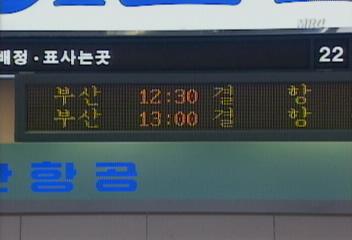 김포공항 태풍 루사 국내선 전면 결항선박 운항 취소강명일