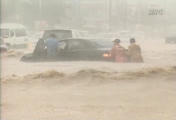 15호 태풍 루사 59년 사라호 이후 가장 강력한 태풍최혁재