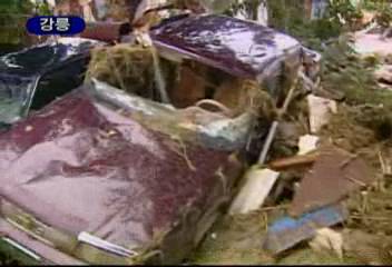 태풍루사강릉 기록적폭우 도로 농경지 문화재 온통쑥대밭김동윤