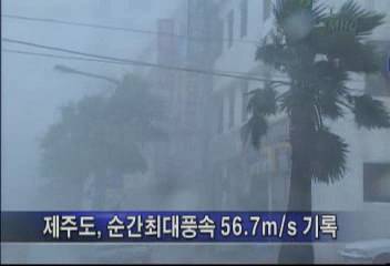 태풍루사태풍 루사 59년 사라호 이후 최대 태풍조문기