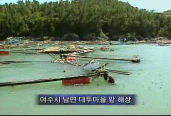 루사여수시 남면 등 적조에 이어 태풍 루사로 양식장 폐허박민주