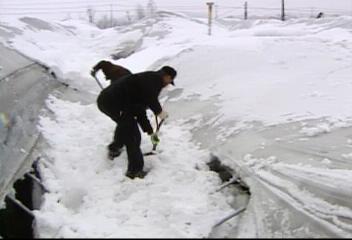 폭설대전 49cm 기상관측이래 최악의 폭설안준철