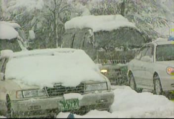 폭설대전시내 49cm 폭설 교통 완전 마비윤성철