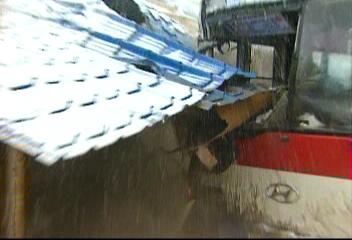 폭설문경 50cm 폭설 안동 등 경북 축사 주택 붕괴정동원