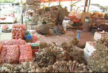 폭설 농가 비닐하우스 피해 농산물 수급 우려이성일