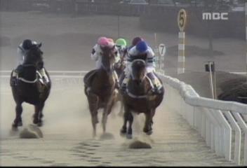 경마에 연 수백억원대 돈 거는 사설 경마 조직 적발남상호
