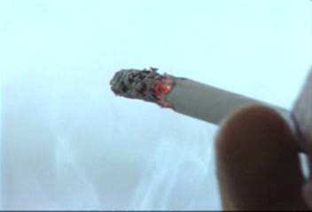 박재갑 국립암센터 원장 정부가 담배 제조 금지 제안입법청원도 하겠다고이주훈