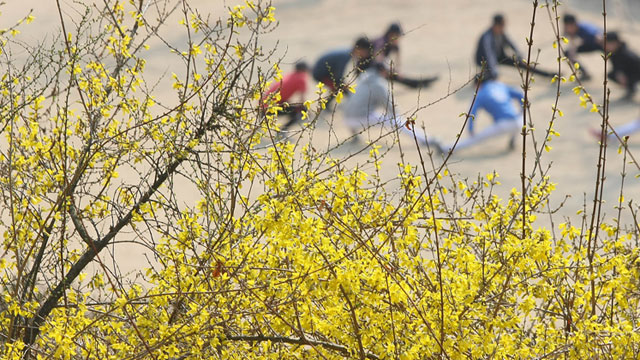 오늘 초여름 같은 이상고온 절정내일 전국 비