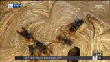 이미지 설명