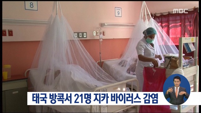 태국 방콕 중심가서 지카 바이러스 감염자 21명 발생