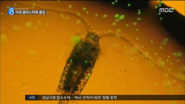 미세한 플랑크톤