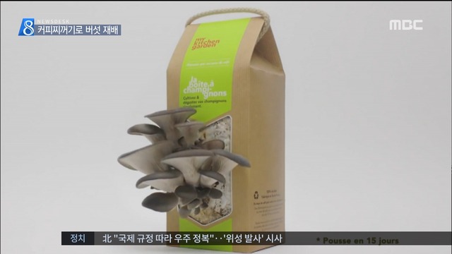 쓰레기 아닙니다 커피 찌꺼기로 도심 농업 재활용