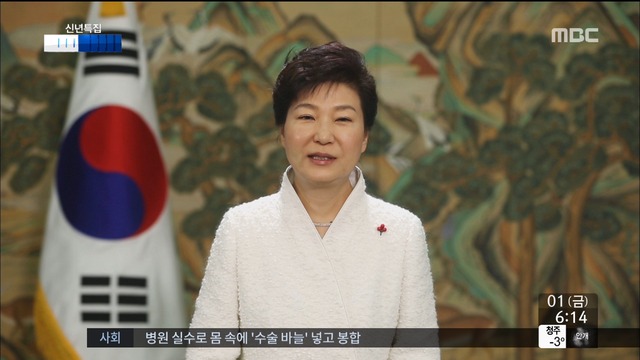 박근혜 대통령 신년사 "경제활성화4대 개혁 완수"