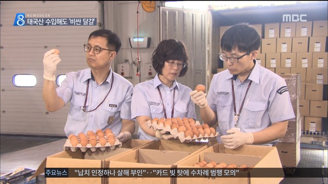 태국산 달걀 수입에도 밥상 물가 고공행진