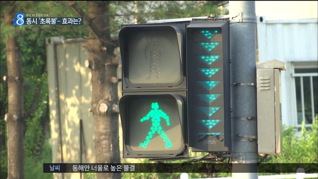 어린이 교통사고 막자초등학교 등굣길 동시 초록불