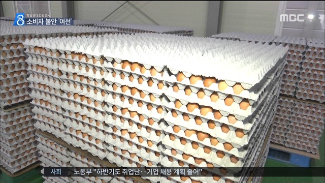 "달걀농사 비명"산지 가격 폭락 마트도 가격 인하