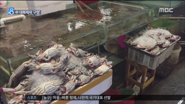  "돈 주고 직접 어획"북한 수산물 편법 유통