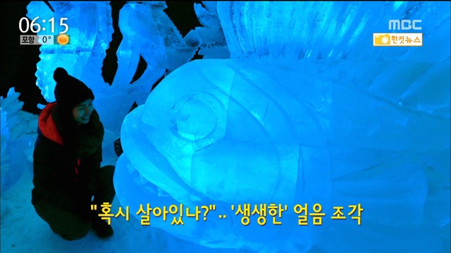 한컷 뉴스 "혹시 살아있나" 생생한 얼음 조각 