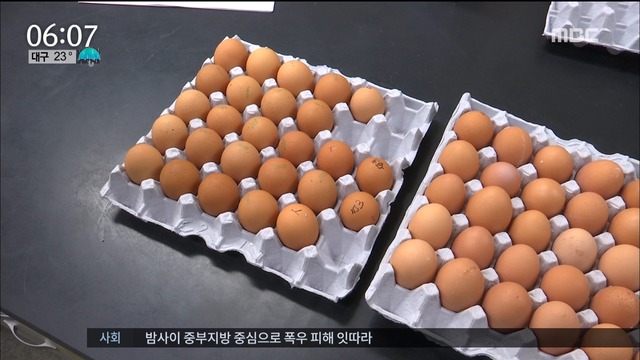 살충제 달걀 추가검사 오늘 발표"한국인 유전자 취약"