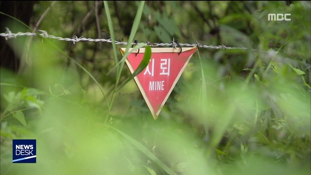 "DMZ 지뢰 제거 200년 걸려"공동 유해발굴 가시화