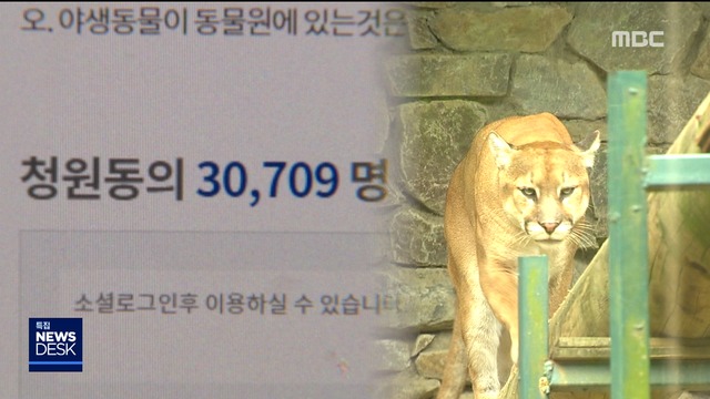 퓨마 후폭풍사람이 문단속 안 해놓고 사살