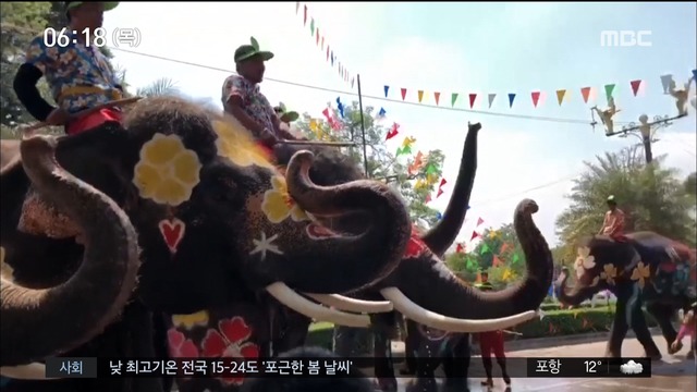 이 시각 세계 코끼리도 즐거운 태국 최대 물축제 