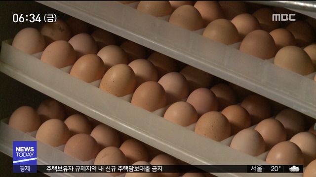 달걀에서 또 살충제 성분 검출67만여 개 유통