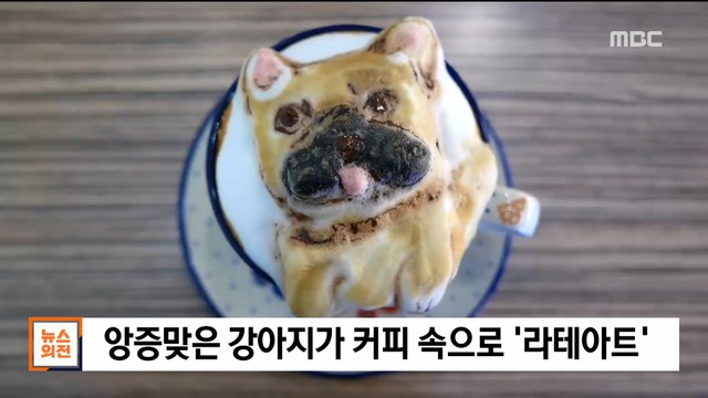 비디오 디저트 앙증맞은 강아지가 커피 속으로 라테아트