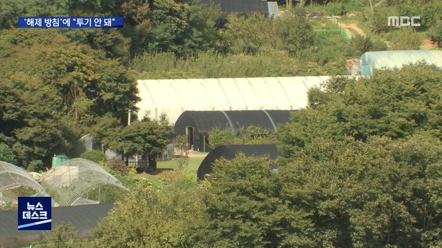 그린벨트 땅 사자 쇄도"투기판 가선 안 돼"