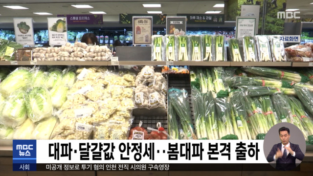 대파계란값 안정세봄대파 본격 출하