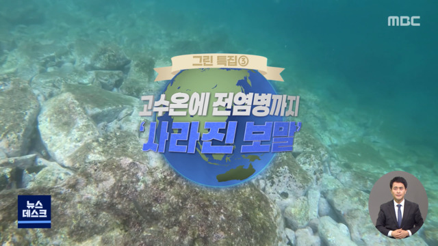 로드맨 당신의 지구는 안녕하신가요