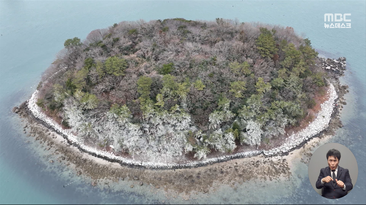 새떼 배설물로 뒤덮인 전남 여수 장군도범인은 텃새 된 민물가마우지