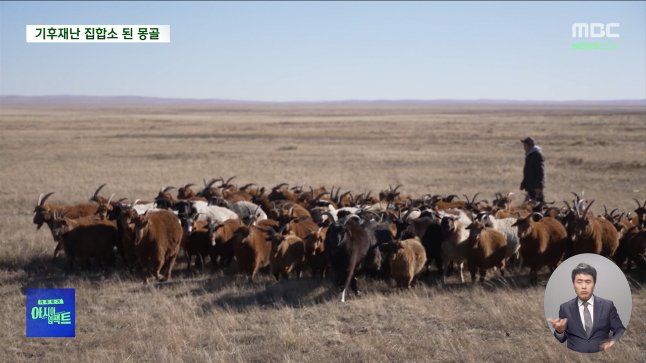 아시아임팩트 혹한사막화홍수까지기후재난 집합소 몽골