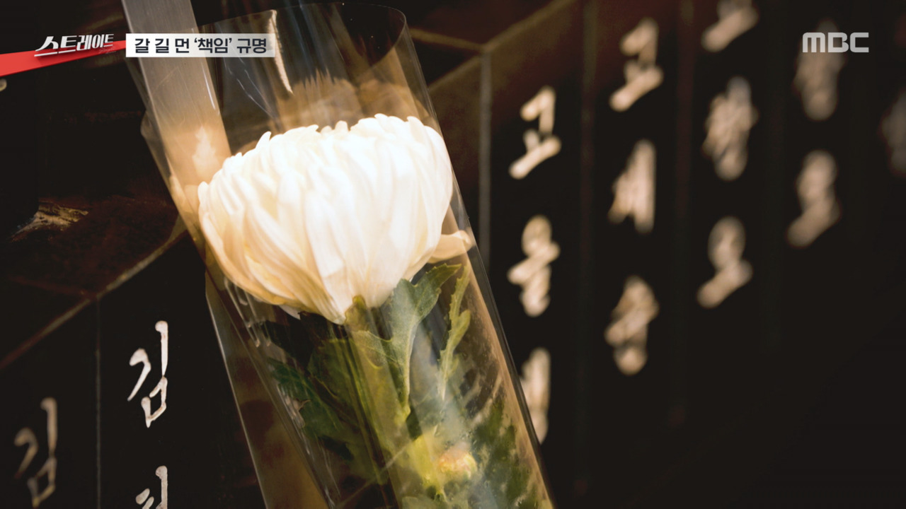 스트레이트 43과 빼앗긴 이름