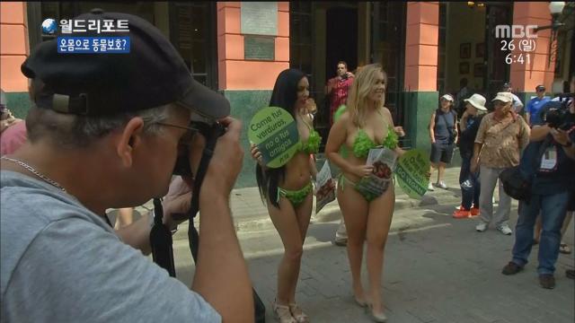 페타 피멘의 투쟁 방식