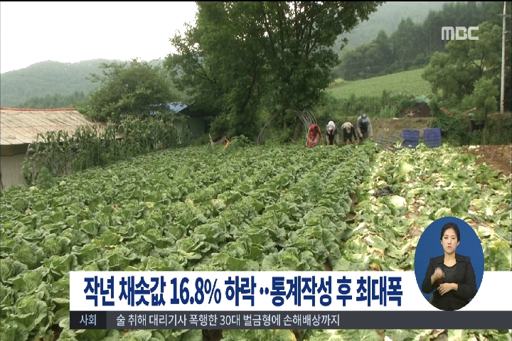 작년 채솟값 168 하락통계작성 후 최대폭 