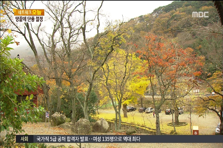 땅끝 붉은 물결 "올가을 마지막 단풍 즐기세요"