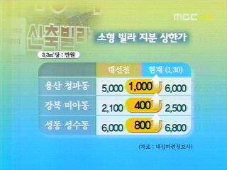 지분 쪼개기 극성