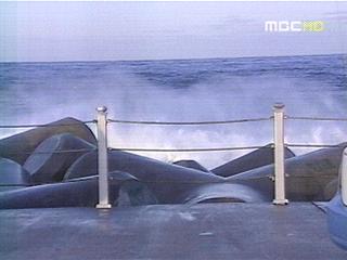 너울성 파도에 관광객 10명 사상