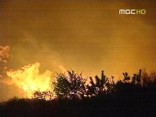 산불 잇따라한때 주민대피령