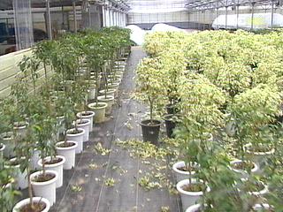 농촌 이중고에 허덕